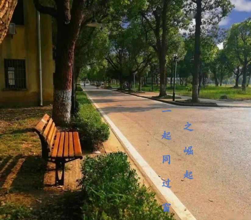 一起同过窗：星空下的约定