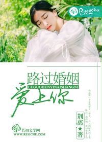 路过婚姻爱上你
