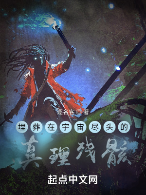 埋葬在宇宙尽头的真理残骸
