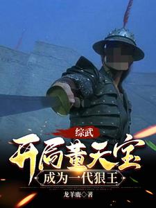 综武：我董天宝，横推天下