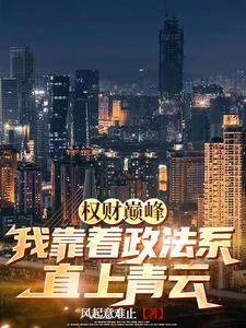 青云之路：我以政法叩天门