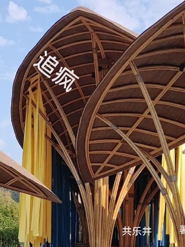 追疯