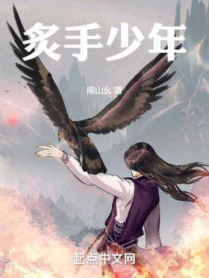 炙手少年