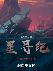星寻纪：宇宙终末进行时