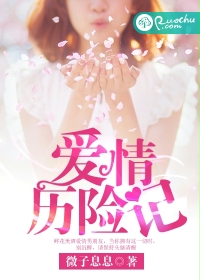 爱情历险记