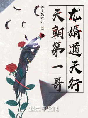天朝第一哥:龙婿遁天行